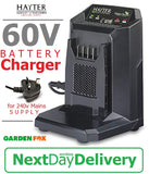 new £59.97 Hayter Cordless BATTERY CHARGER 120A 5015704120010