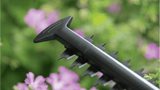 SALE best PRICE - £84.97 - new BOSCH EasyHedgeCUT 60 Mains Electric Hedgecutter 0600847D71 4059952655024 HEC