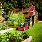 SALE best PRICE - £217.97 - MOUNTFIELD SP41 Driven Petrol 15" Lawnmower 297412043/M21- 8008984845145 LA **** PAYPAL & AMEX payments ONLY online or call free on 0800 731 7008 to pay via VISA MASTERCARD ****