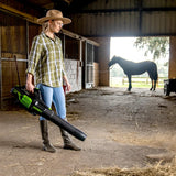 Genuine GREENWORKS Axial GD60AB 60V 4.0AH Cordless PRO Blower KIT 8938528991932+67100 LV