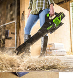 Genuine GREENWORKS Axial GD60AB 60V 4.0AH Cordless PRO Blower KIT 8938528991932+67100 LV