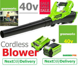 SALE best PRICE £209.97 Greenworks Axial40V Cordless Battery Garden Blower GD24X2BVK2X 6952909076034 LV