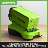 SALE PRICE - £129.99 GreenWORKS 40V 2.0AH Battery & Charger Pack GWGSK40B2 - 6952909068732