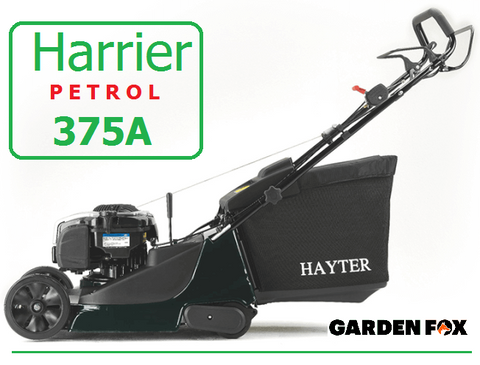 Hayter harrier petrol 41 autodrive hotsell