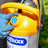 SALE best PRICE - £45.97 - HOZELOCK Pulsar PLUS 7 Litre Pressure SPRAYER - 4311 - 5010646062688