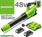 SALE best PRICE £209.97 Greenworks Axial Cordless Battery Leaf Blower GD24X2BVK2X 6952909065038 LV **** PAYPAL & AMEX payments ONLY online or call free on 0800 731 7008 to pay via VISA MASTERCARD ****