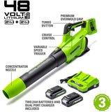 SALE best PRICE £209.97 Greenworks Axial Cordless Battery Leaf Blower GD24X2BVK2X 6952909065038 LV **** PAYPAL & AMEX payments ONLY online or call free on 0800 731 7008 to pay via VISA MASTERCARD ****