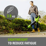 SALE best PRICE £209.97 Greenworks Axial Cordless Battery Leaf Blower GD24X2BVK2X 6952909065038 LV **** PAYPAL & AMEX payments ONLY online or call free on 0800 731 7008 to pay via VISA MASTERCARD ****