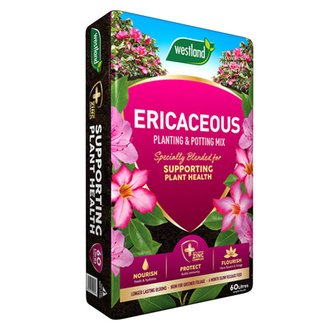 CLICK & DELIVER - Local Delivery ONLY - Westland Ericaceous Compost 60L BAG 11400004 5023377009570 Purchase as many Bags as required.  Westland WB